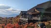 Tour in Kyoto with a Goverment Certified Tour Guide