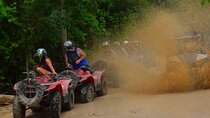 Drive an ATV in middle of the Jungle. Ziplines & cenote included.