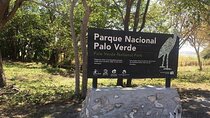 Full Day Private Tour of Palo Verde National Park