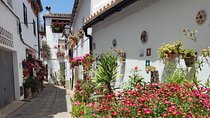 Private half-day tour of Ronda and the White Villages with native