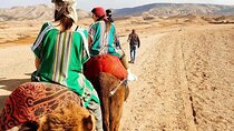 From Marrakech: Atlas Mountains and Agafay Desert Day Trip