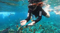 Snorkeling at Blue Lagoon & Tanjung Jepun All Inclusive