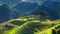 8-Days Hanoi, Sapa Trekking And Halong Bay Cruise