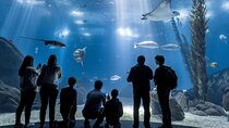 Lisbon Oceanario: Aquarium Entrance Ticket