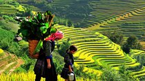 Sapa 3 Days 2 Nights Trekking Tour (1 Night In Ta Van Village, 1 Night In Hotel)