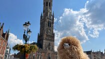 Private Full-Day Tour Bruges & Ghent from Brussels with tastings