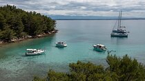 Zadar islands half day boat tour