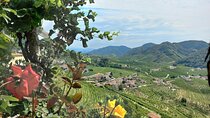 Prosecco Hills Wine and Food Tour from Venice and Treviso