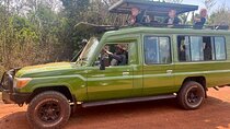  1 Day Akagera National Park Private Safari