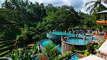 Ubud Cretya Tours and Happy Swing 