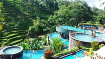 Ubud Tours and Cretya Day Club Pool 