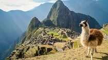Cusco: Machu Picchu 2D/1N - Transport and Tickets Included