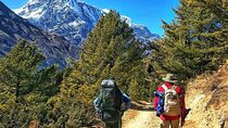 11-Days Annapurna Private Circuit Trekking