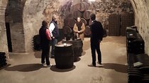 Independent visit DE cellar and tasting in the vineyards