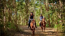 Kuranda Half Day Including Horse Trail Ride and Petting Zoo