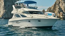 Pura Vida Yacht 42 FT with all inclusive service in Cabo