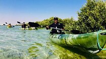 Mangrove 1-Hour Private Kayaking in Al Thakira Reserve
