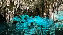 2 Cenotes Private Tour – VIP Adventure with Expert Guide