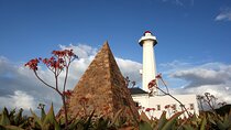 Port Elizabeth Safari and City Tour from Gqeberha