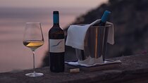 Wine Tasting with Seaview at Villa Magia Positano****