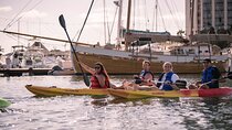 Tandem Kayak Rentals in Mission Bay