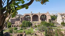 Roman Forum and Palatine Hill Access