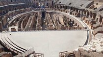 Colosseum Arena, Roman Forum and Palatine Hill Access