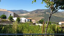 Private full-Day Tour to Douro Valley