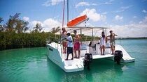 All inclusive CATAMARAN with BBQ : Ile aux cerf & GRSE waterfall