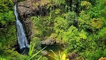 Road to Hana Private Full Day Tour