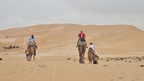 Agadir Desert Adventure: Camel Ride, Quad Biking & Sandboarding