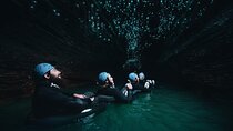 Private Tour[2 Days]: Adventure from Auckland - Waitomo & Rotorua