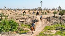 Private horseback ride in the Palmeraie of Marrakech