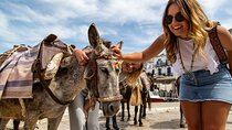 Athens Three-Island Cruise: Hydra, Poros & Aegina w/Lunch Incl