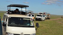 Nairobi National Park Half Day Tour