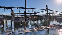 Chioggia : Aquaculture Secrets Tours of the Lagoon