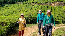8 Days Kerala Private Tour Covering Kochi- Munnar- Periyar- Alleppey and Kovalam