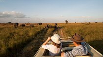 7 Days Tarangire, Serengeti & Ngorongoro Safari 