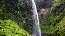 1 Day Kilimanjaro forest (mambori waterfalls).