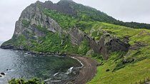 Jeju Day Tour(East & South)- Depart Jeju Airport, Finish anywhere