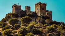 Guided visit to Córdoba and Almodóvar Castle