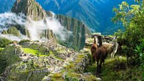 Private Full Day Tour to Machu Picchu