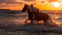 2 Hours Horse Riding Adventure in The Sea & Desert - Hurghada 