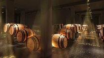 Private full-day Champagne Cellars tour from your hotel in Paris