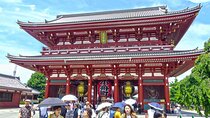 Full-Day Private Guided Tour in Tokyo 