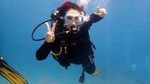 Discover Scuba Diving, Tenerife. Photos and videos included
