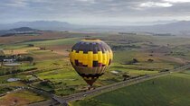  Hot Air Balloon in Stellenbosch