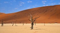10 Day Discover Namibia Small Group Safari