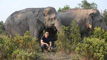 Kulen Elephant Forest & Kampong Phluk by Private Tour