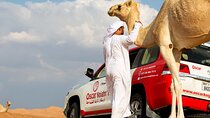 Sunset Camel Trekking, Falcon Show & VIP BBQ Dinner